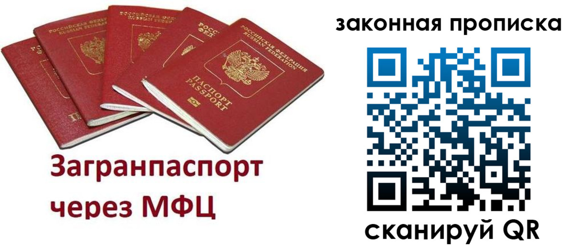 временная регистрация поиск в Коле
