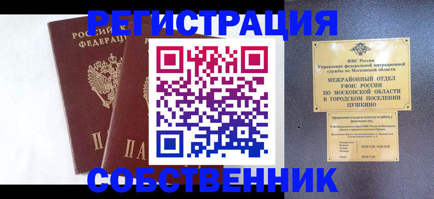 прописка поиск в Коле